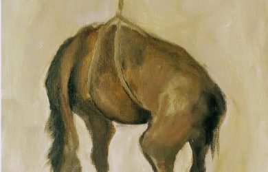 Peso do cavalo morto